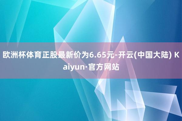 欧洲杯体育正股最新价为6.65元-开云(中国大陆) Kaiyun·官方网站