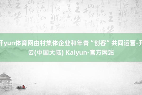 开yun体育网由村集体企业和年青“创客”共同运营-开云(中国大陆) Kaiyun·官方网站