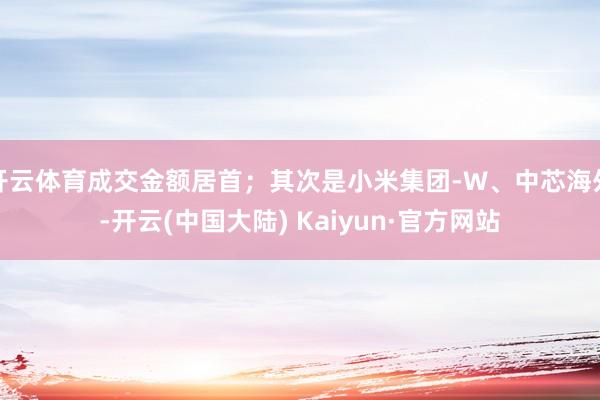 开云体育成交金额居首；其次是小米集团-W、中芯海外-开云(中国大陆) Kaiyun·官方网站